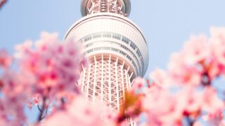 観光